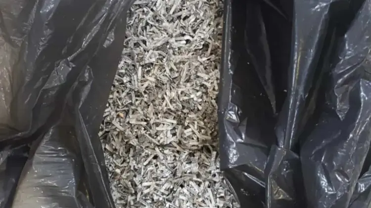 Foto: Especial/ EXPRESO