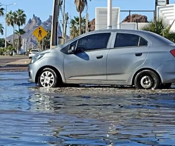 Vuelven a sufrir lagunas de aguas negras en San Carlos