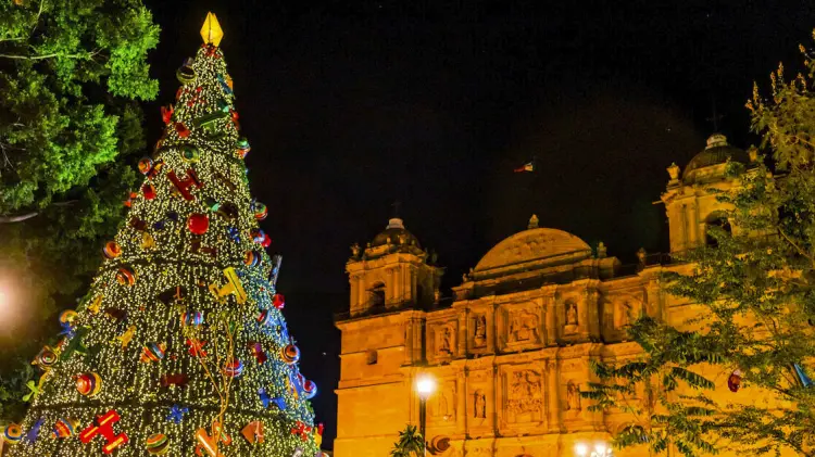 Foto: Especial/ EXPRESO