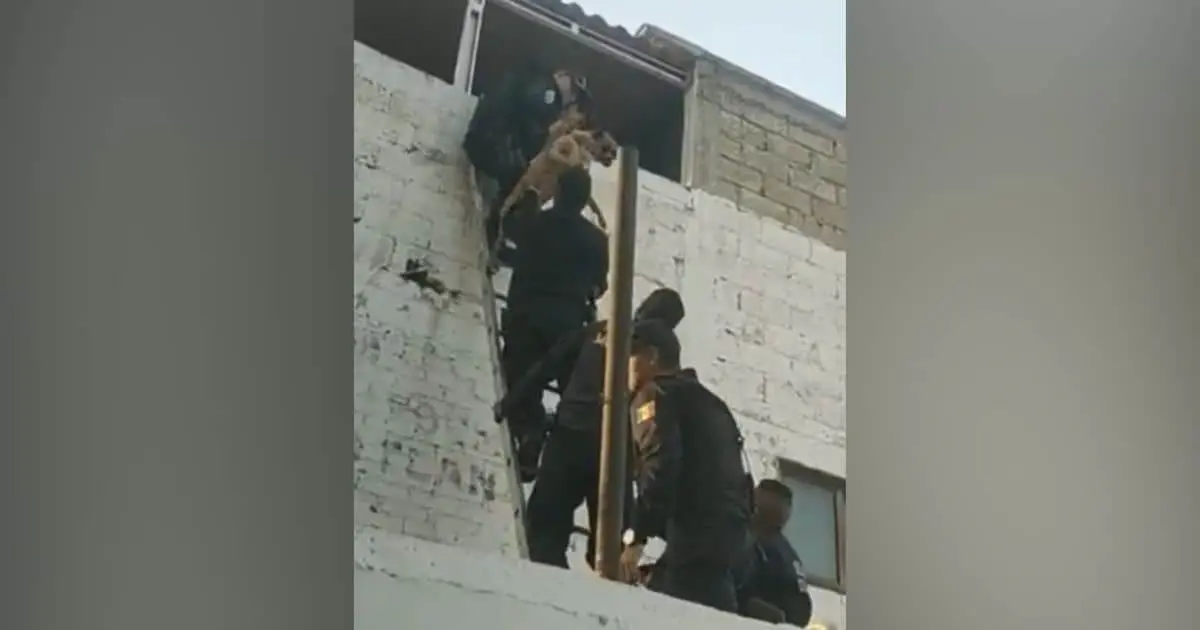 Policías forman cadena para rescatar a perros atrapados en incendio