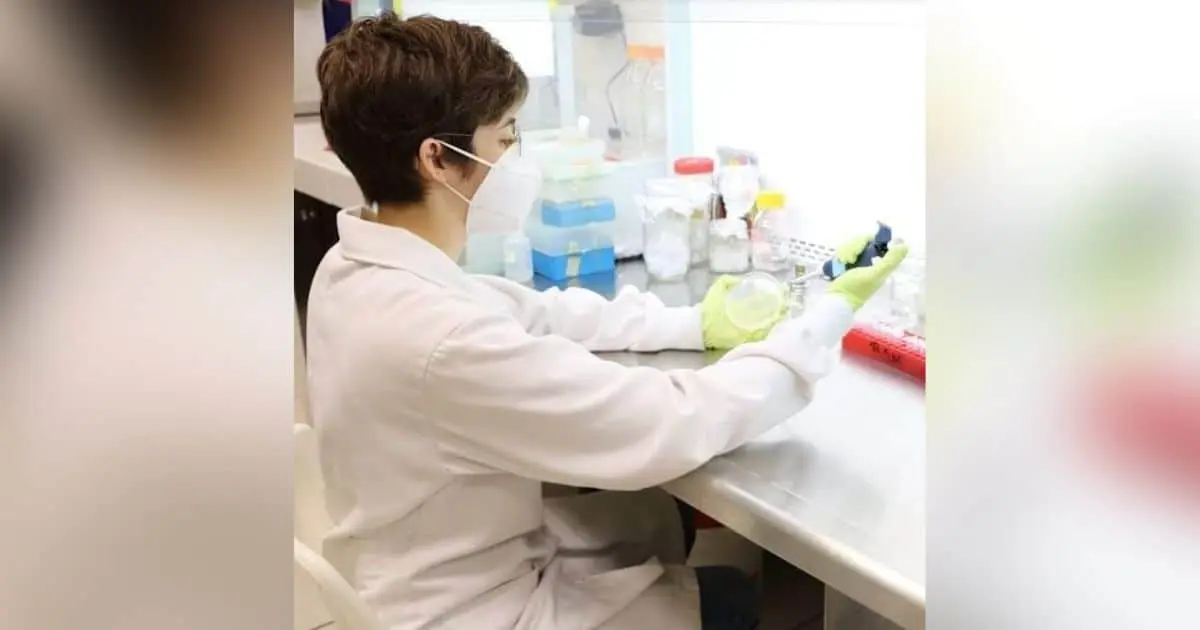 45% de personas infectadas por rickettsiosis mueren por diagnóstico tardío