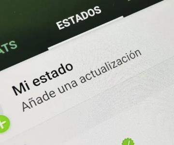 ¿Cómo reportar estados de WhatsApp?