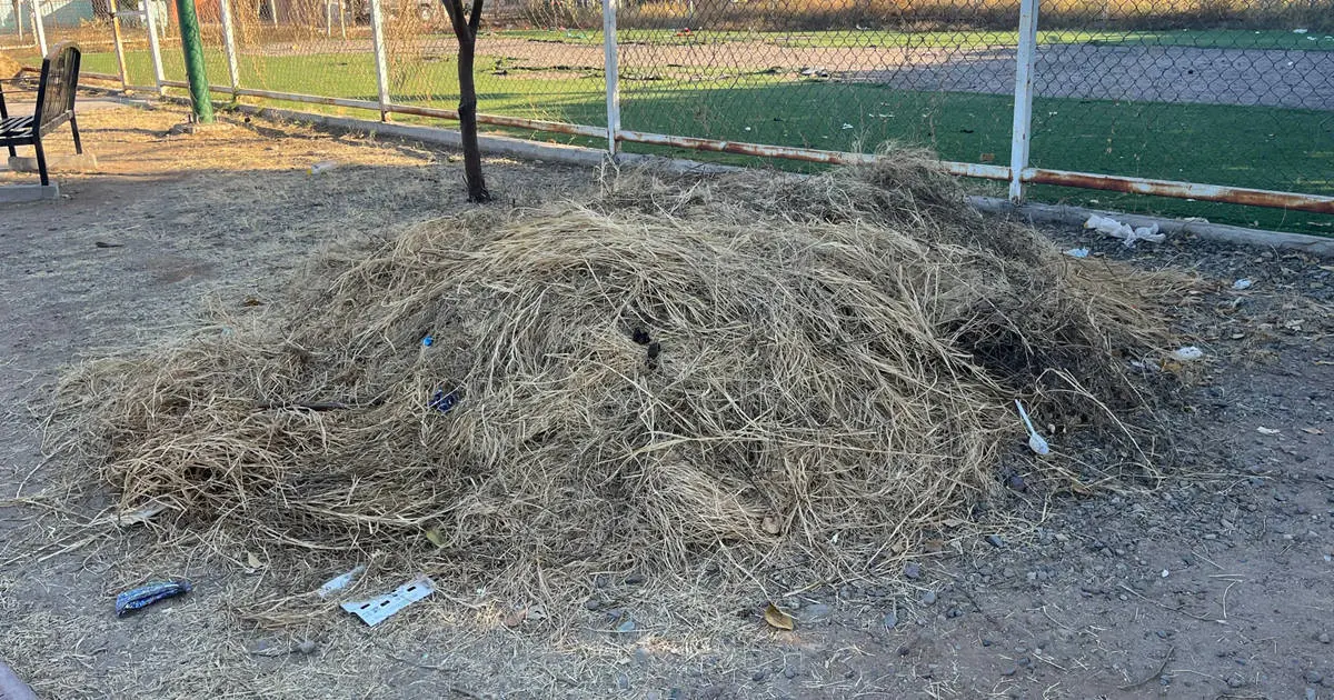 Vecinos de la colonia Manantiales piden reformar zonas deportivas