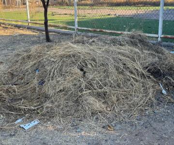 Vecinos de la colonia Manantiales piden reformar zonas deportivas