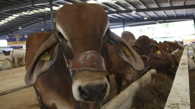 Foto: Especial/ EXPRESO