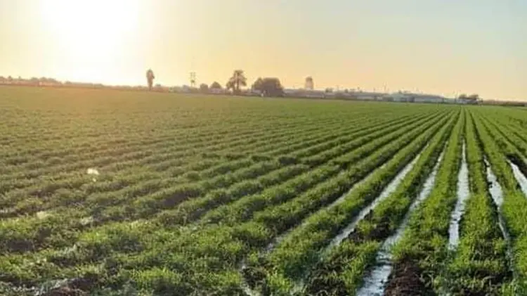 Foto: Especial / EXPRESO.