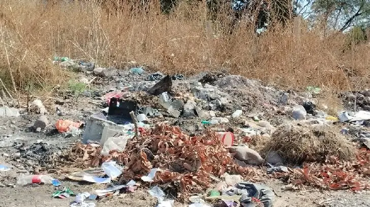 Baldíos abandonados en la Constitución representan foco de infección