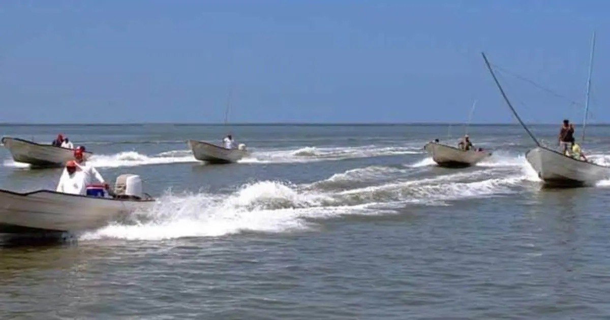 Pescador de Yavaros se salva de ser atacado por tiburón