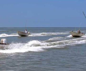 Pescador de Yavaros se salva de ser atacado por tiburón