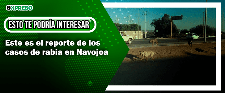 Tiburón acaba con la vida de un pescador en Benito Juárez