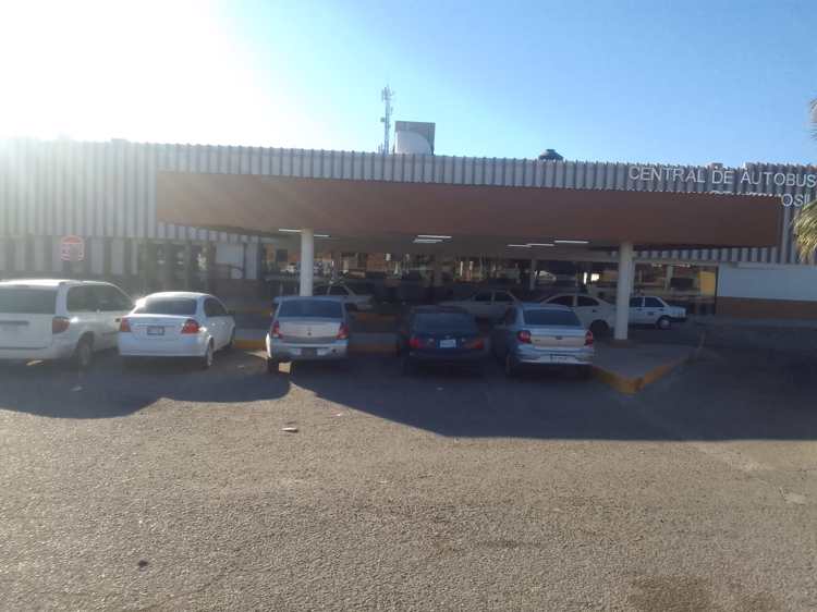 Líneas de autobuses reanudan corridas a Sinaloa