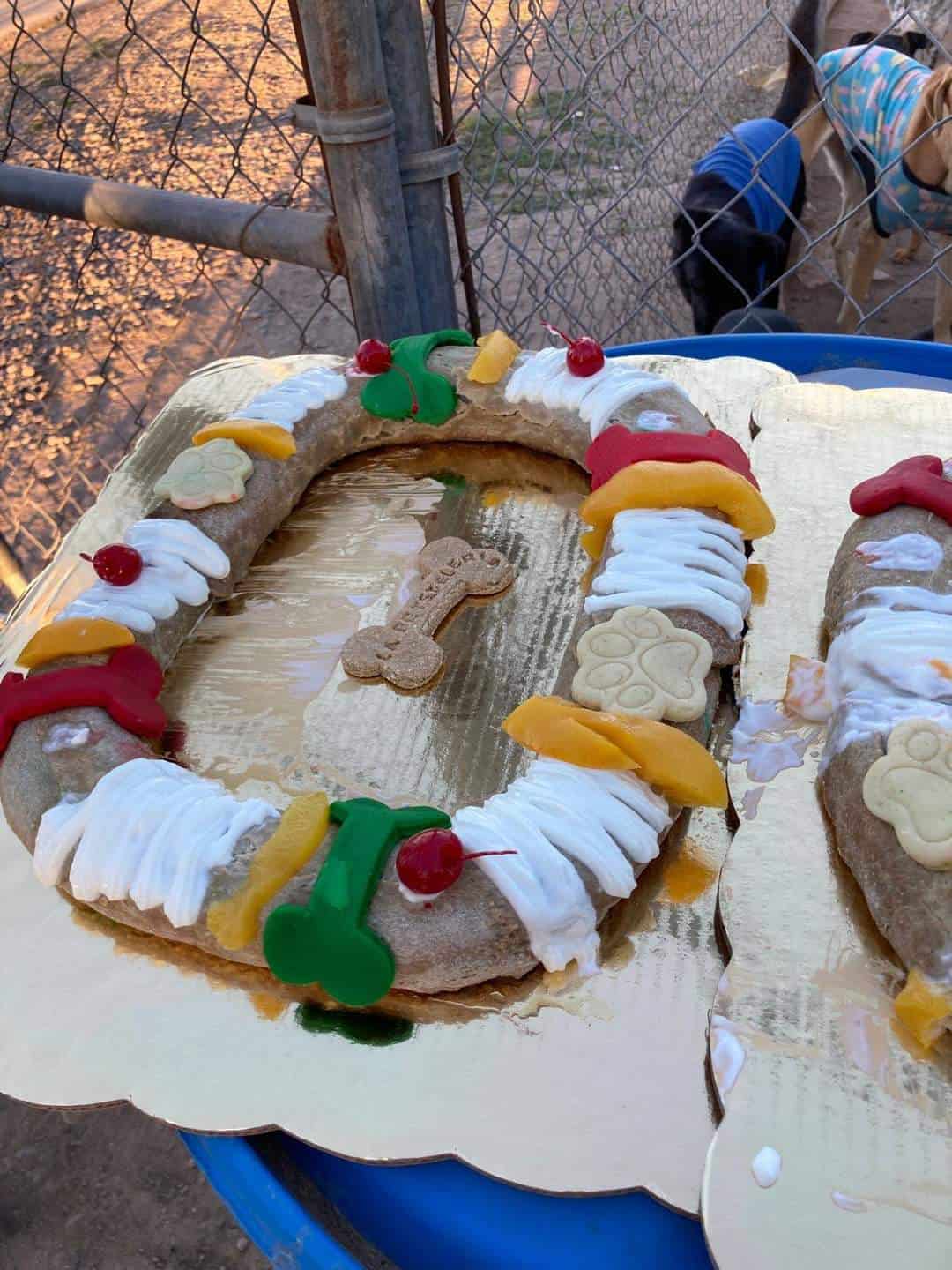 Celebran caninos Día de Reyes con rosca en Navojoa