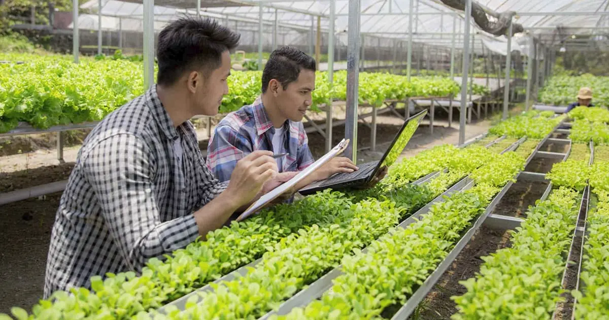 Piden agronegocios disipar disputas comerciales a EU, México y Canadá