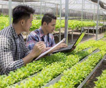 Piden agronegocios disipar disputas comerciales a EU, México y Canadá