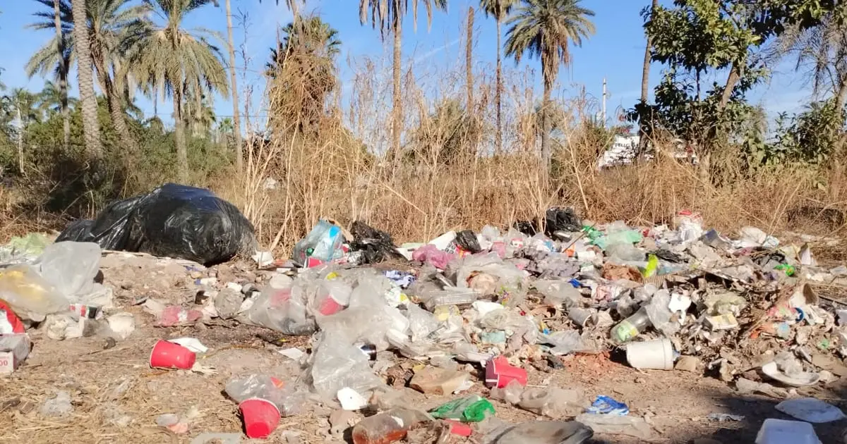 Denuncian uso de predio como basurero clandestino en colonia Rosales