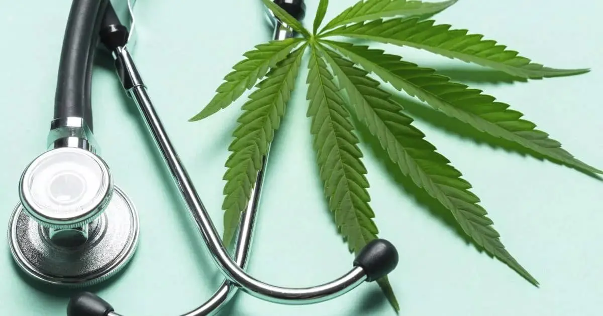 Planea Senado reactivar debate en materia de cannabis