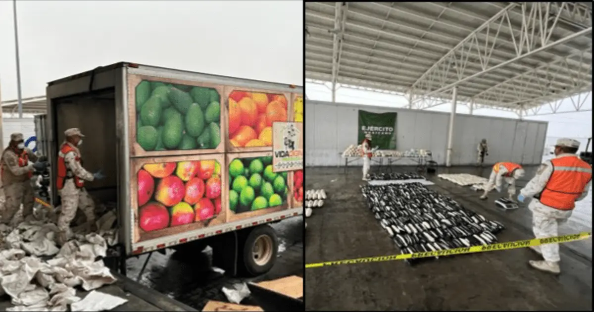 Decomisan importante cargamento de droga en Querobabi