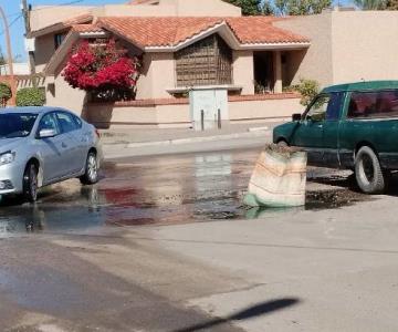 Urgen atender enorme fuga de agua negra en centro de Navojoa