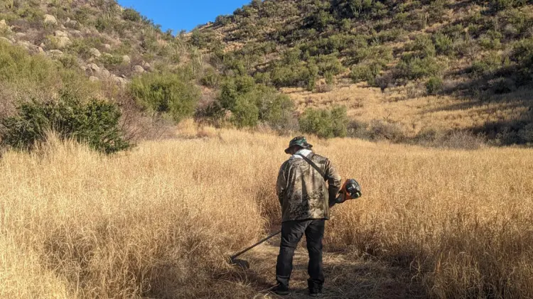 Foto: Cortesía/ EXPRESO