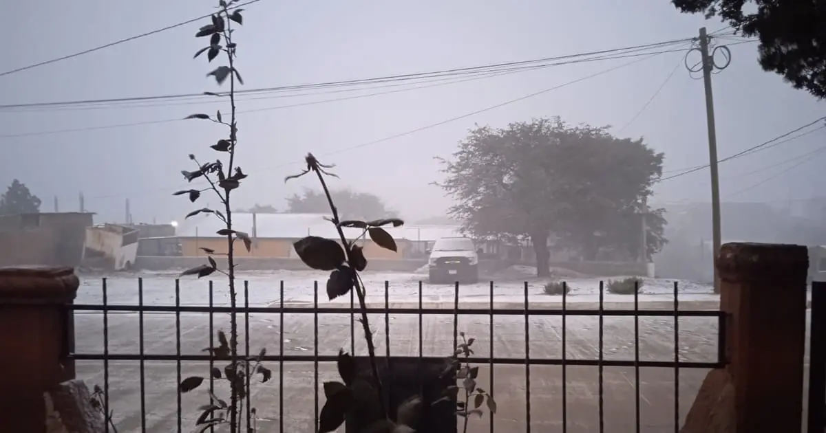 Reportan nevadas en Cananea por frente frío número 27