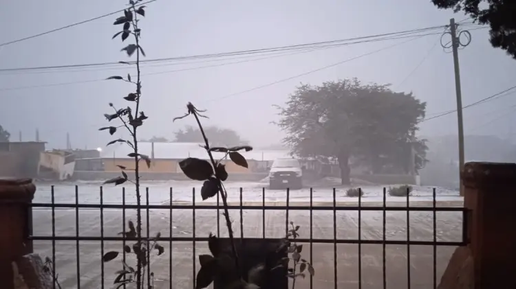 Foto: Cortesía/ EXPRESO