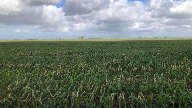 Foto: Cortesía/ EXPRESO