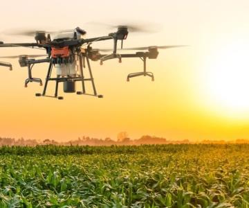 Aerofumigadores sienten riesgo por operación de drones agrícolas