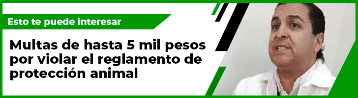 Sr. Patas también espera por el Dr. Carlos Ignacio, desaparecido en Obregón