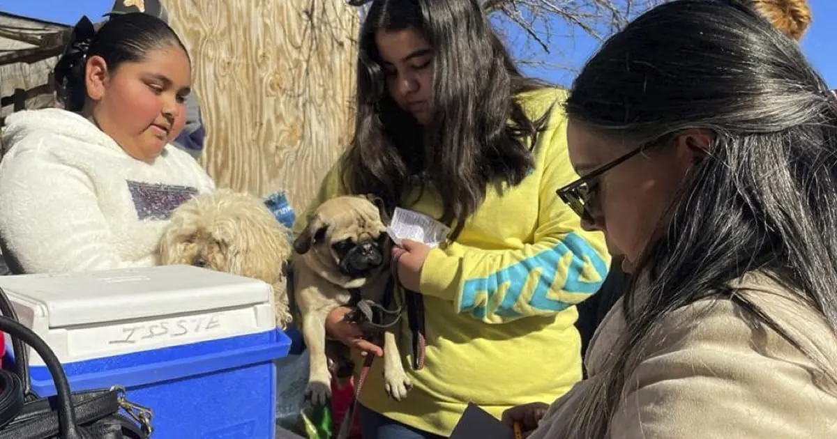 Llevan a cabo en Nogales jornada de esterilización y vacunación