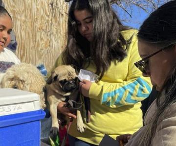 Llevan a cabo en Nogales jornada de esterilización y vacunación