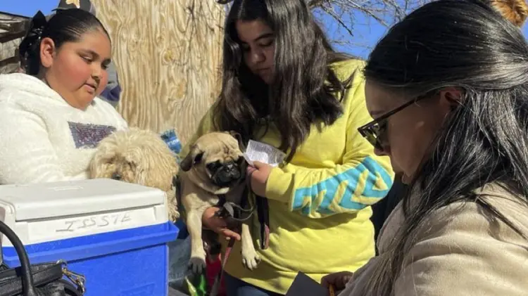 Foto: Karyna Vyera/ EXPRESO