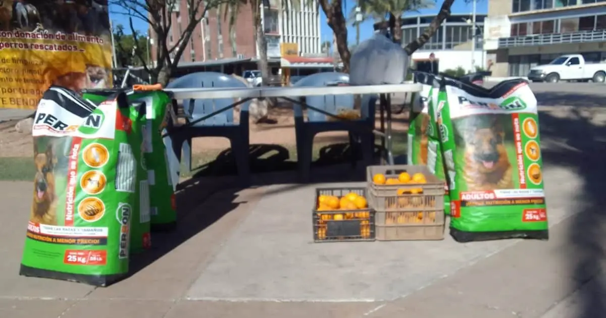 Kolekton recauda croquetas para 150 perros en el Molino de Camou