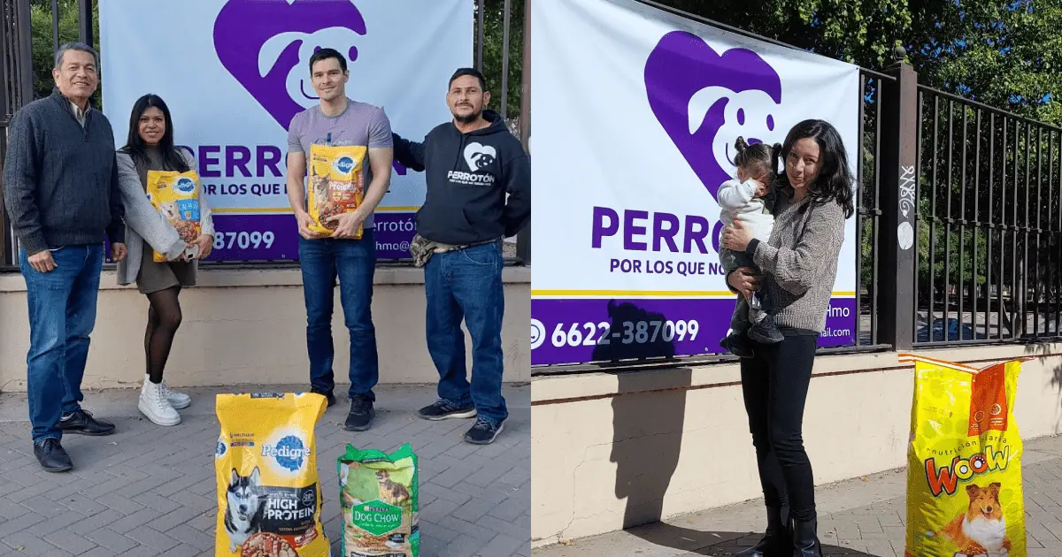 Reúnen alimento para aquellos que no tienen voz en el Perrotón