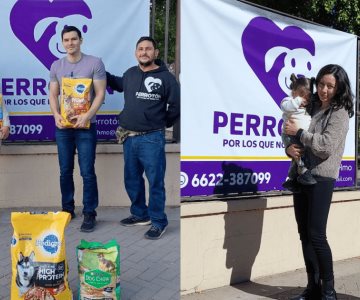 Reúnen alimento para aquellos que no tienen voz en el Perrotón