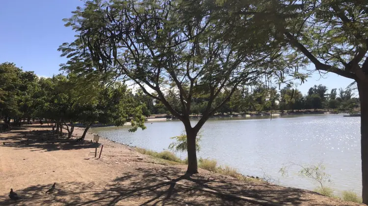 Foto: Especial/ EXPRESO