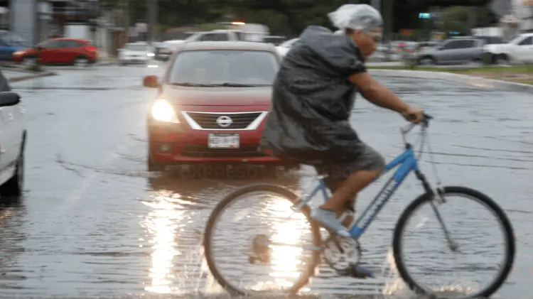 Foto: Especial / EXPRESO.