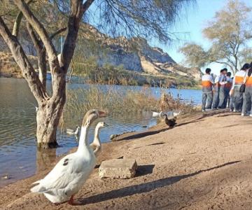 Día de los Humedales: hermosillenses celebran en La Sauceda