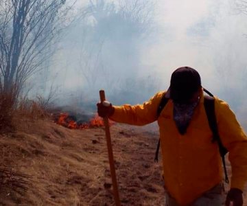 El incendio forestal más grande de Álamos; consume más de 50 hectáreas