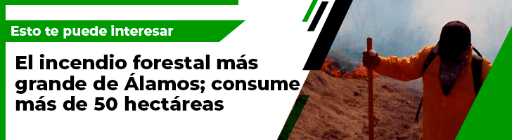 Tiene la Unison más programas de posgrado