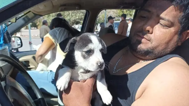 Foto: Germán Contreras/EXPRESO.