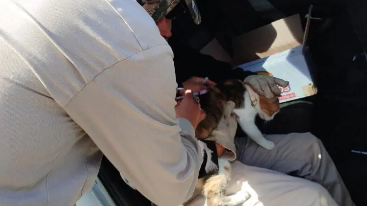 Fotos: John Castellón/EXPRESO.