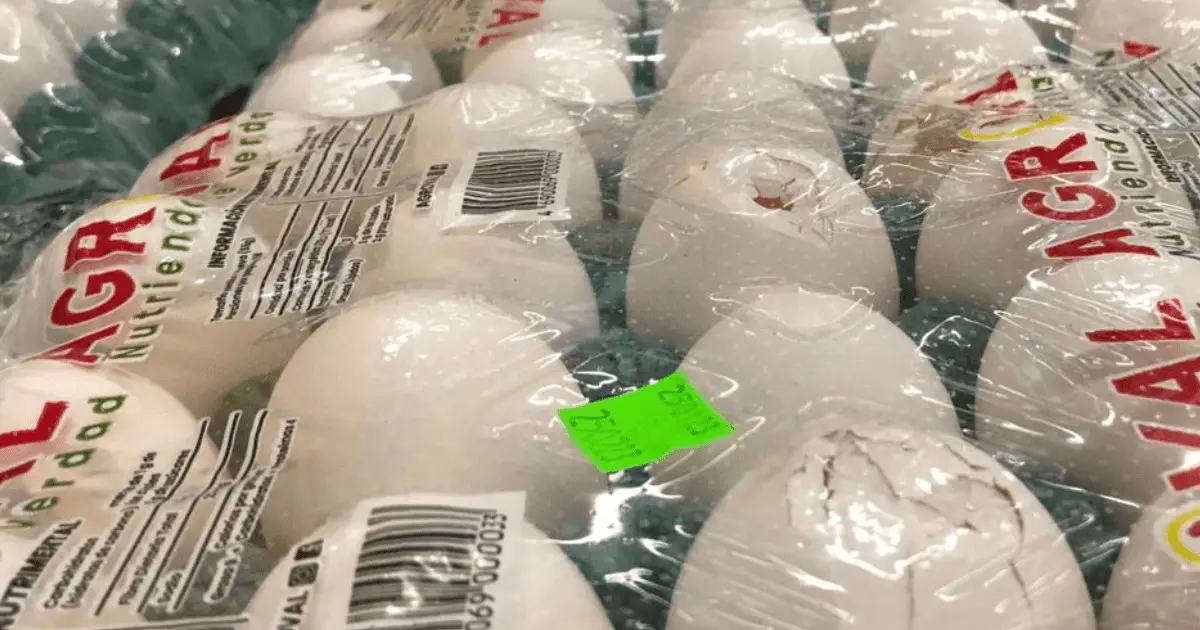 Descartan escasez de huevo en Sonora