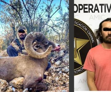 Capturan a cazador furtivo; llevaba cornamenta de borrego cimarrón