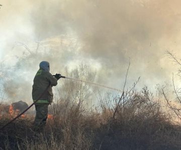 Se registra nuevo incendio en La Sauceda