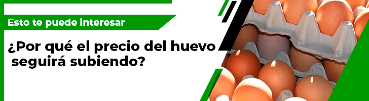 Reforma a Ley Orgánica de Unison evitará se formen grupos de poder: Durazo
