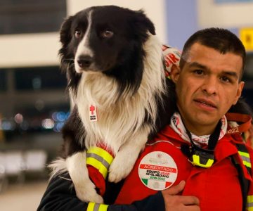 Brigada mexicana y perritos rescatistas apoyan en Turquía