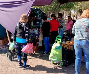 Tianguis en peligro; plataformas digitales desplazan comercios transeúntes