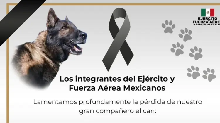 Imagen: Tomada de Twitter / @SEDENAmx.