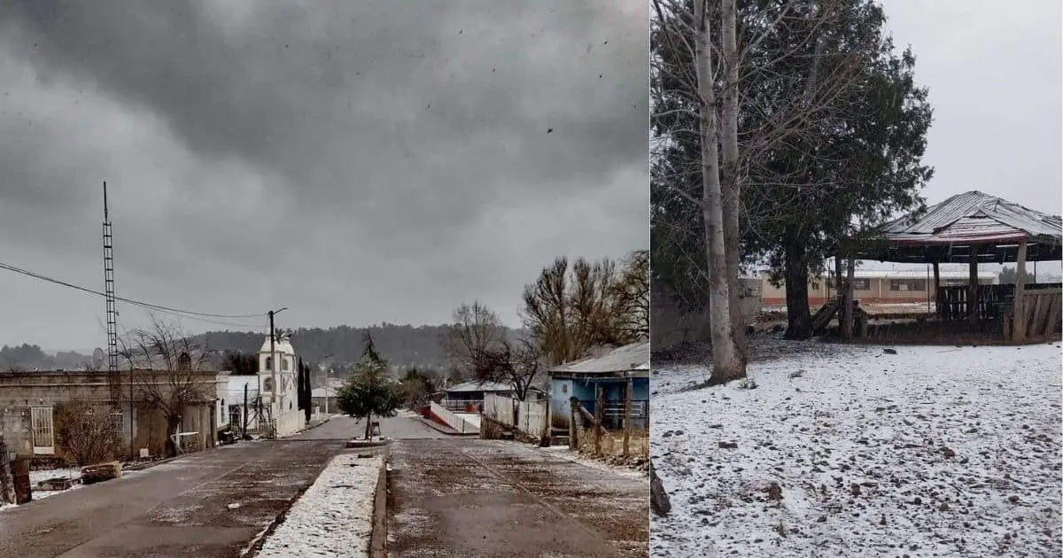 Reportan caída de nieve y agua nieve en regiones de Sonora