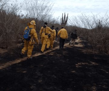 Sofocan incendio en zona de Quiriego tras más de 24 horas de trabajos